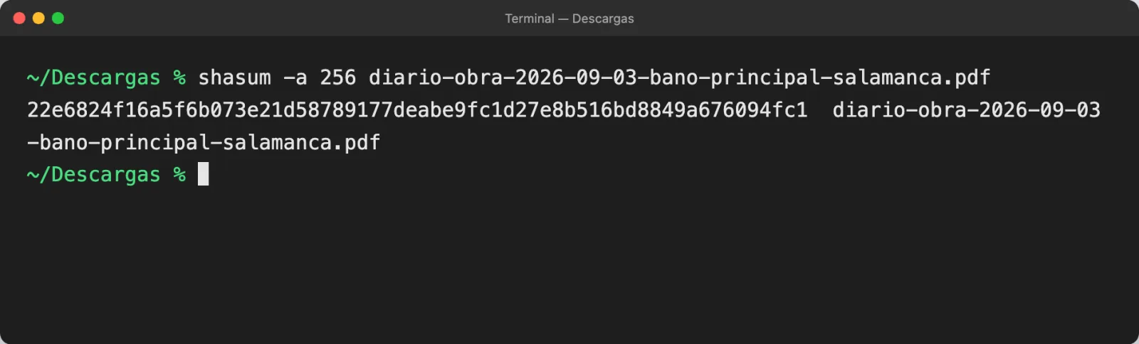 Una terminal en la carpeta Descargas: «shasum -a 256» sobre el PDF del diario devuelve la misma cadena que muestra el sello